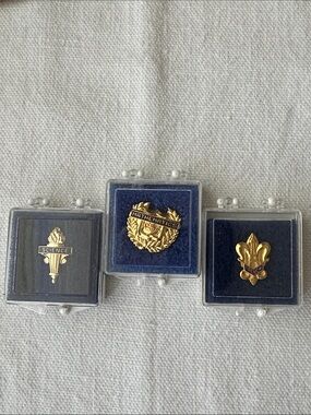 Science, Mathematics, and French Academic Pins - Vintage
